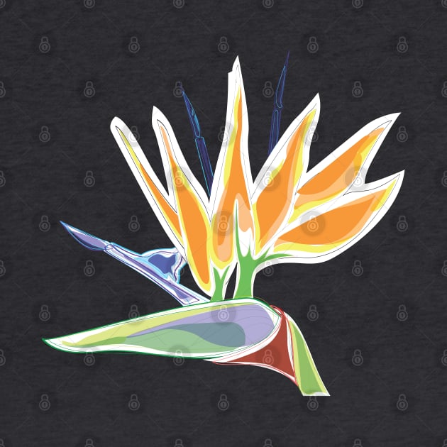Bird Of Paradise Tropical Plant by Cricky by cricky